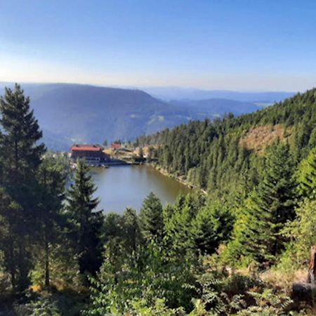 Rehkitz Apartment Baiersbronn Bagian luar foto
